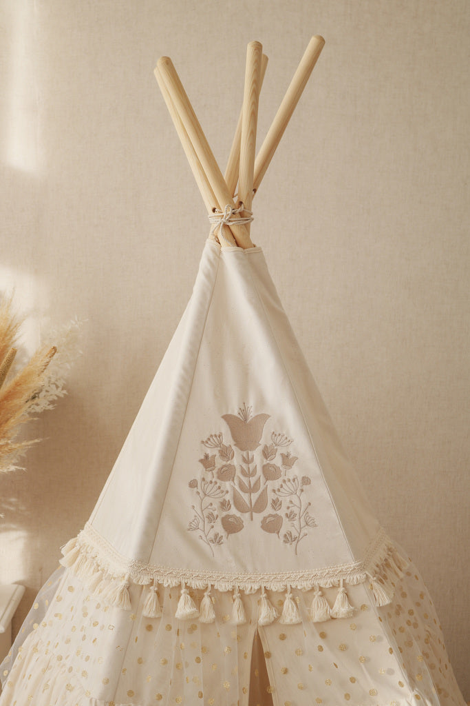 Ensemble Complet Tente-TIPI PREMIUM N°2